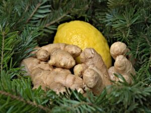 Fresh ginger root and a lemon nestled among green leaves